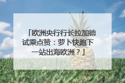 欧洲央行行长拉加德试乘点赞：萝卜快跑下一站出海欧洲？