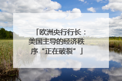 欧洲央行行长：美国主导的经济秩序“正在破裂”