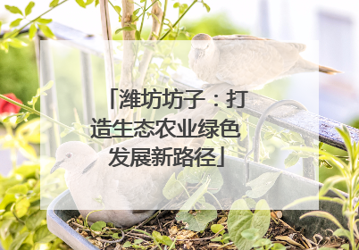 潍坊坊子：打造生态农业绿色发展新路径