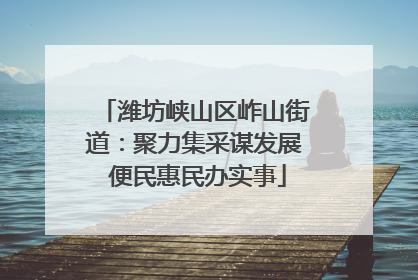 潍坊峡山区岞山街道：聚力集采谋发展 便民惠民办实事