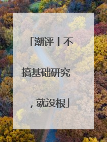 潮评丨不搞基础研究，就没根