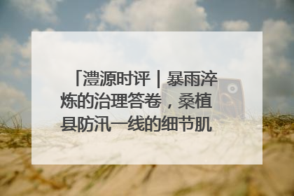 澧源时评｜暴雨淬炼的治理答卷，桑植县防汛一线的细节肌理与体系力量