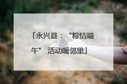 永兴县：“粽情端午” 活动暖邻里