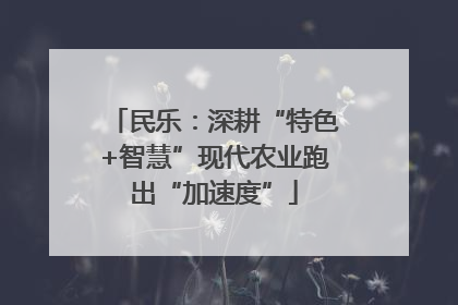 民乐：深耕“特色+智慧”现代农业跑出“加速度”
