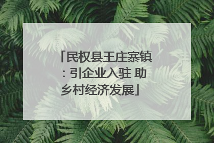 民权县王庄寨镇：引企业入驻 助乡村经济发展
