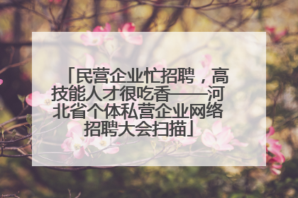 民营企业忙招聘，高技能人才很吃香——河北省个体私营企业网络招聘大会扫描