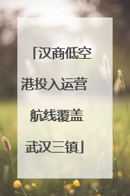 汉商低空港投入运营 航线覆盖武汉三镇