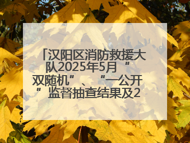 汉阳区消防救援大队2025年5月“双随机”、“一公开”监督抽查结果及2025年6月监督抽查任务公示