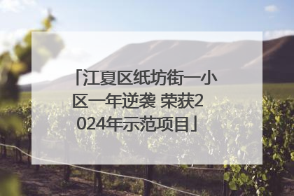江夏区纸坊街一小区一年逆袭 荣获2024年示范项目