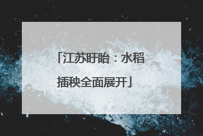 江苏盱眙：水稻插秧全面展开