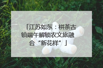 江苏如东：栟茶古镇端午解锁农文旅融合“新花样”