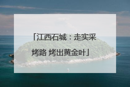 江西石城：走实采烤路 烤出黄金叶