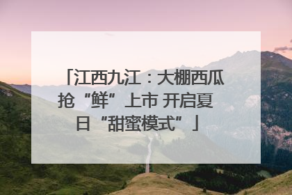 江西九江：大棚西瓜抢“鲜”上市 开启夏日“甜蜜模式”