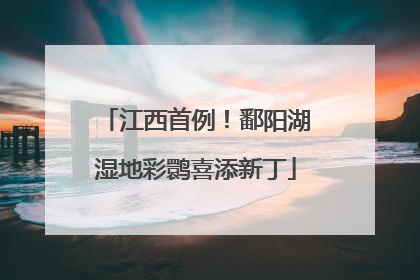 江西首例！鄱阳湖湿地彩鹮喜添新丁