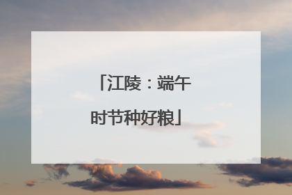 江陵：端午时节种好粮