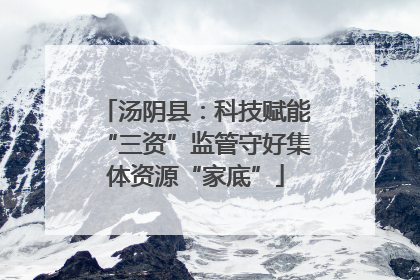 汤阴县：科技赋能“三资”监管守好集体资源“家底”