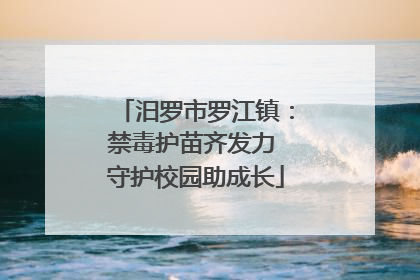 汨罗市罗江镇：禁毒护苗齐发力 守护校园助成长