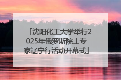 沈阳化工大学举行2025年俄罗斯院士专家辽宁行活动开幕式