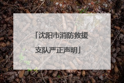 沈阳市消防救援支队严正声明