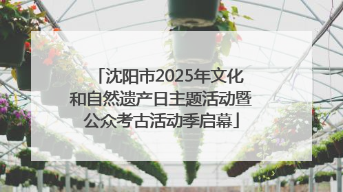 沈阳市2025年文化和自然遗产日主题活动暨公众考古活动季启幕