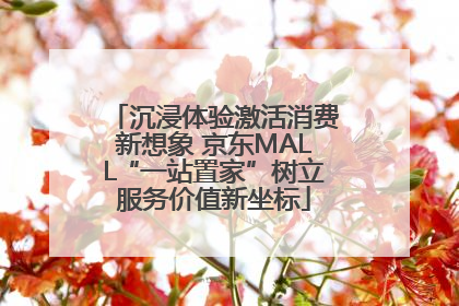 沉浸体验激活消费新想象 京东MALL“一站置家”树立服务价值新坐标