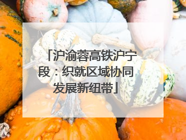 沪渝蓉高铁沪宁段：织就区域协同发展新纽带