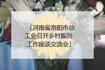 河南省洛阳市总工会召开乡村振兴工作座谈交流会