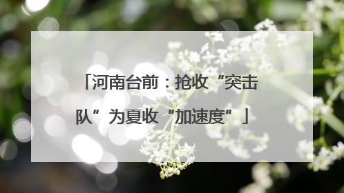河南台前：抢收“突击队”为夏收“加速度”