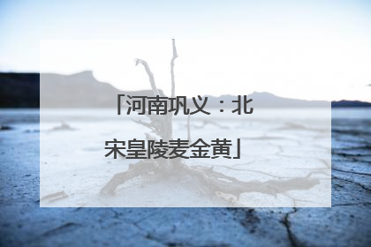 河南巩义：北宋皇陵麦金黄