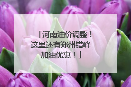 河南油价调整！这里还有郑州错峰加油优惠！