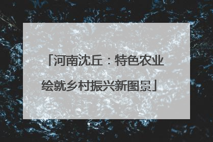 河南沈丘：特色农业绘就乡村振兴新图景