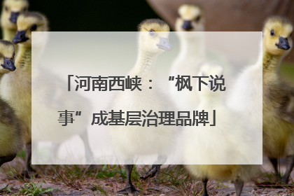 河南西峡：“枫下说事”成基层治理品牌