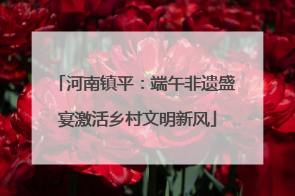 河南镇平：端午非遗盛宴激活乡村文明新风