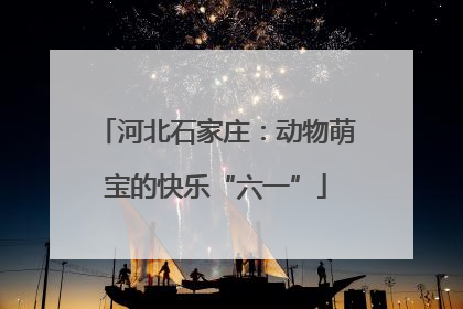 河北石家庄：动物萌宝的快乐“六一”