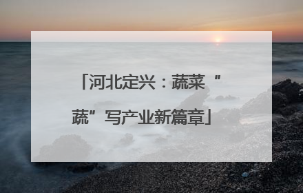 河北定兴：蔬菜“蔬”写产业新篇章