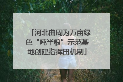 河北曲周为万亩绿色“吨半粮”示范基地创建指挥田机制