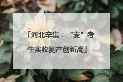 河北辛集：“麦”考生实收测产创新高