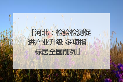 河北：检验检测促进产业升级 多项指标居全国前列