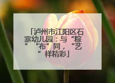 泸州市江阳区石寨幼儿园：与“粽”“布”同，“艺”样精彩