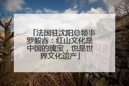 法国驻沈阳总领事罗毅睿：红山文化是中国的瑰宝，也是世界文化遗产