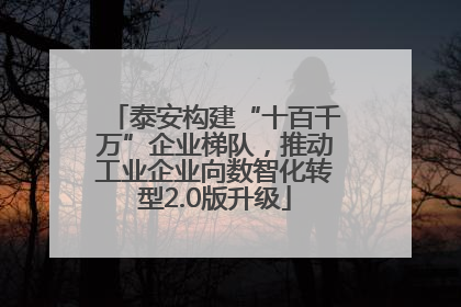 泰安构建“十百千万”企业梯队，推动工业企业向数智化转型2.0版升级