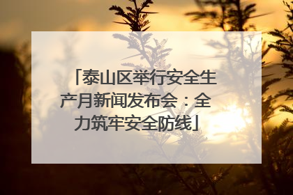 泰山区举行安全生产月新闻发布会：全力筑牢安全防线
