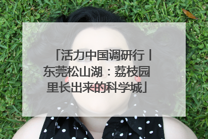 活力中国调研行丨东莞松山湖：荔枝园里长出来的科学城