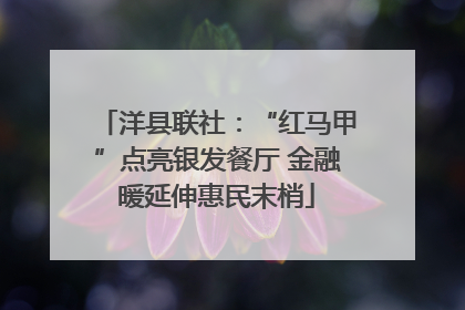 洋县联社：“红马甲”点亮银发餐厅 金融暖延伸惠民末梢