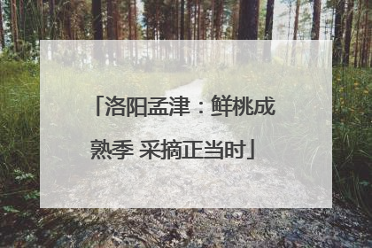 洛阳孟津：鲜桃成熟季 采摘正当时