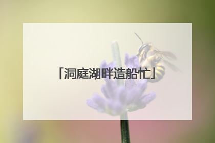 洞庭湖畔造船忙
