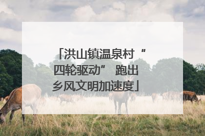 洪山镇温泉村“四轮驱动” 跑出乡风文明加速度