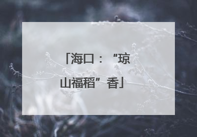 海口：“琼山福稻”香