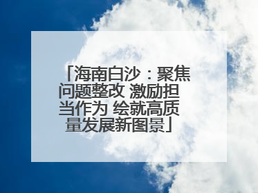 海南白沙：聚焦问题整改 激励担当作为 绘就高质量发展新图景
