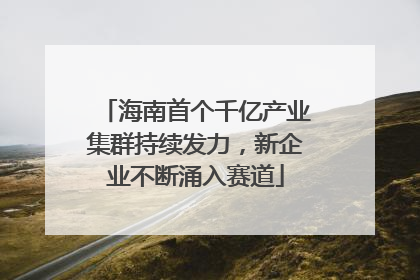 海南首个千亿产业集群持续发力，新企业不断涌入赛道